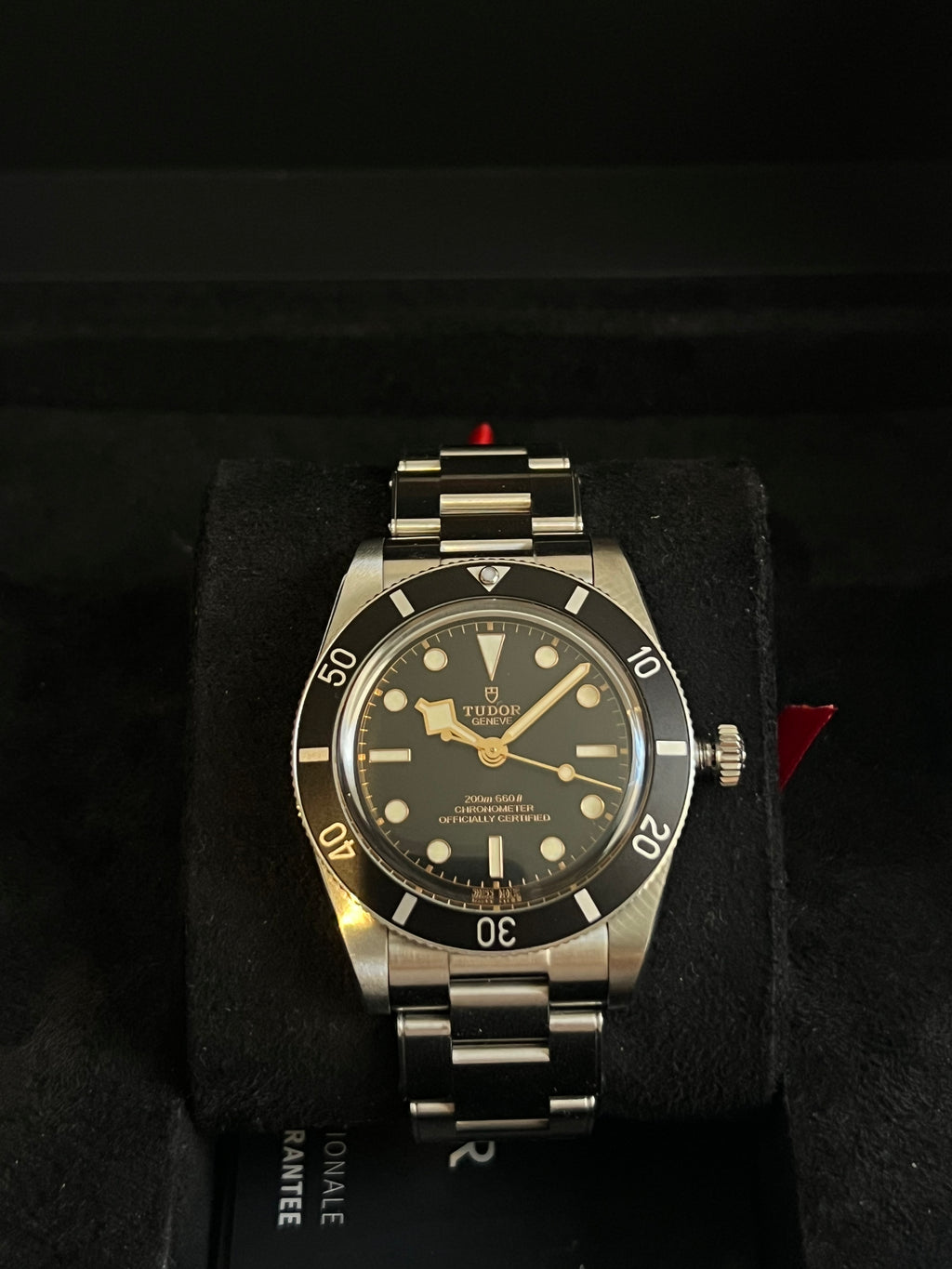 Tudor Black Bay 54